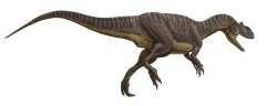 † Xuanhanosaurus qilixiaensis(vor etwa 168,3 bis 163,5 Millionen Jahren)